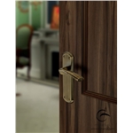 Atlanta Door Handle on Plate in Satin Nickel on Zinc