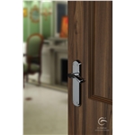 Atlanta Door Handle on Plate in Satin Nickel on Zinc