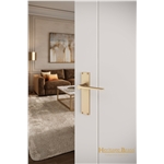 Gio Door Handle on 200mm Plate in Matt Bronze