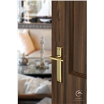 Kendal Door Handle on Plate in Satin Brass