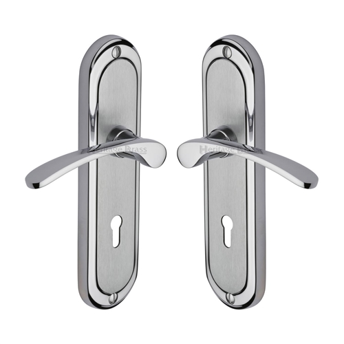 Ambassador Door Handle on Plate