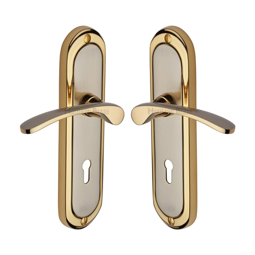Ambassador Door Handle on Plate