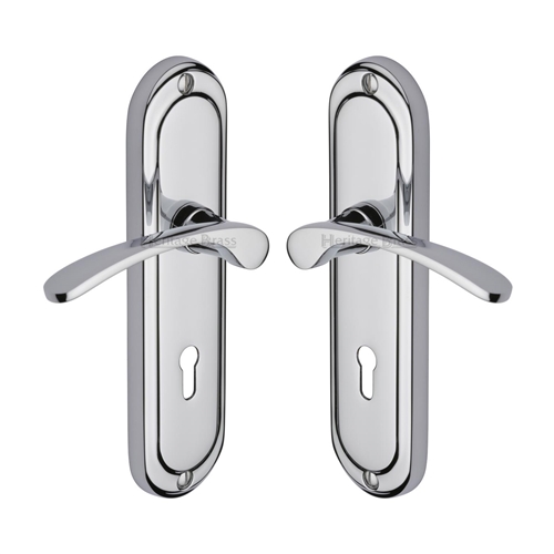 Ambassador Door Handle on Plate