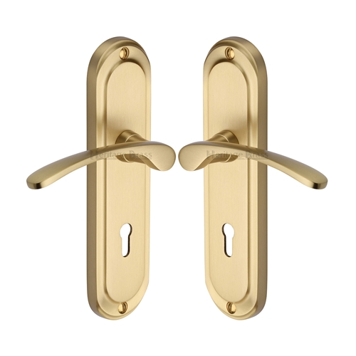 Ambassador Door Handle on Plate