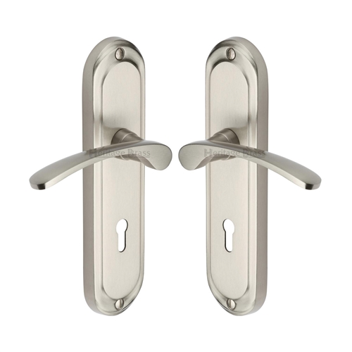Ambassador Door Handle on Plate