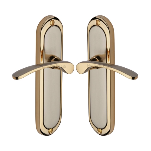 Ambassador Door Handle on Plate