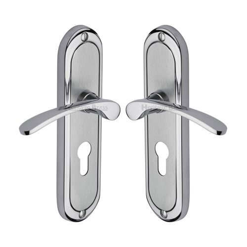 Ambassador Door Handle on Plate