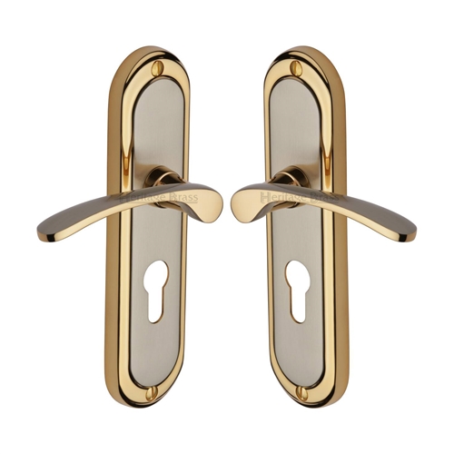 Ambassador Door Handle on Plate
