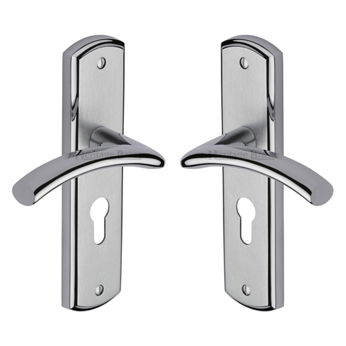 Centaur Door Handle on Plate