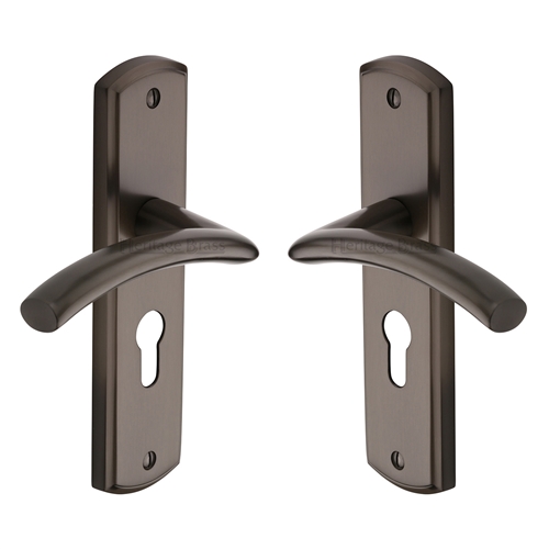 Centaur Door Handle on Plate