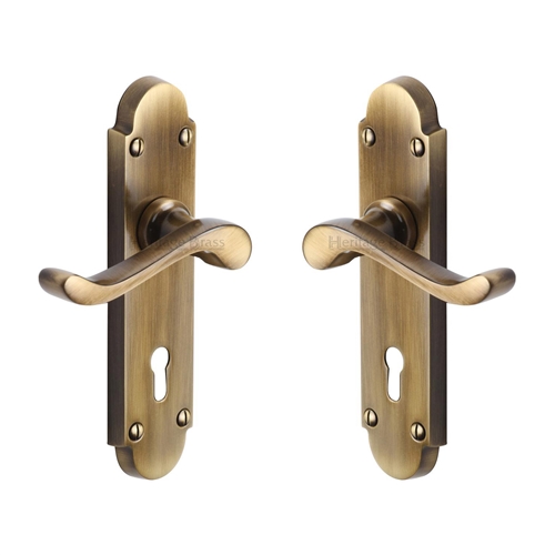 Savoy Door Handle on Plate