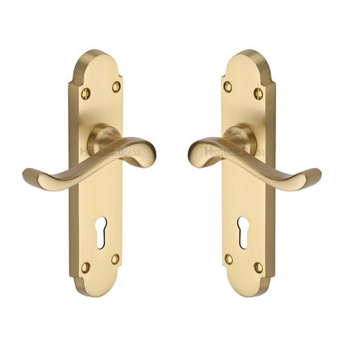 Savoy Door Handle on Plate