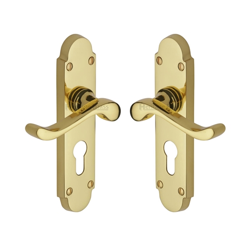 Savoy Door Handle on Plate