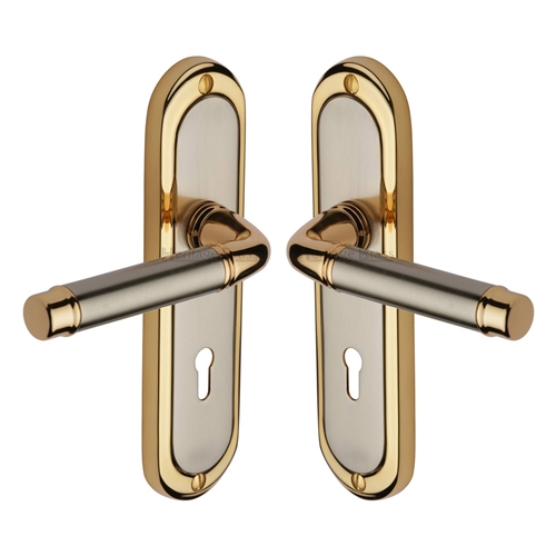Saturn Door Handle on Plate