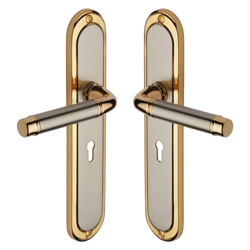 Saturn Long Door Handle on Plate