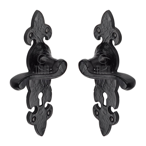 Tudor Fleur de Lys Door Handle on Plate