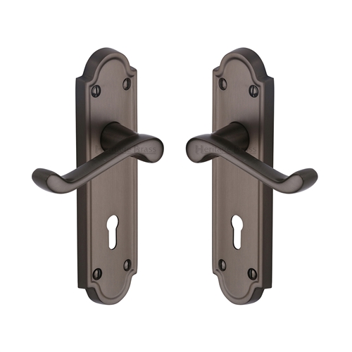 Meridian Door Handle on Plate