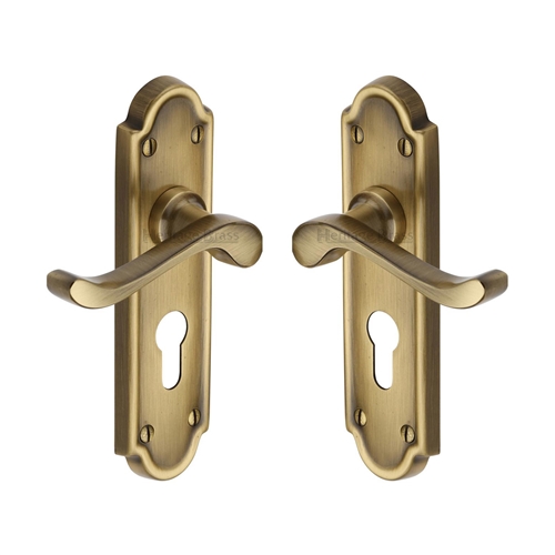 Meridian Door Handle on Plate