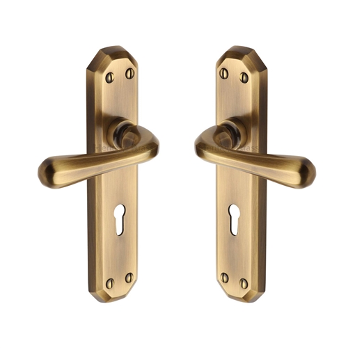 Charlbury Door Handle on Plate