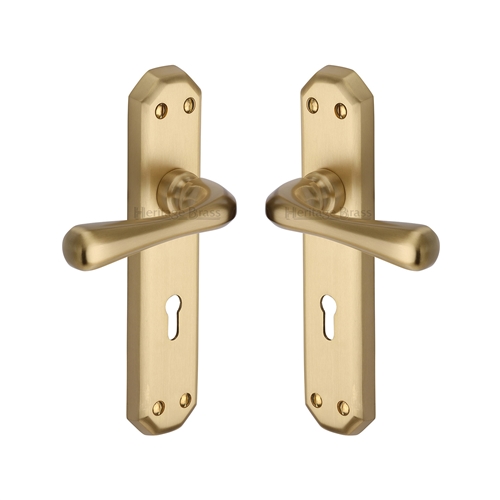 Charlbury Door Handle on Plate