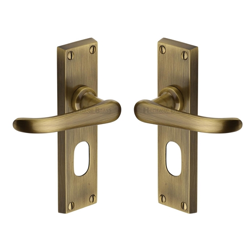 Windsor Door Handle on Plate