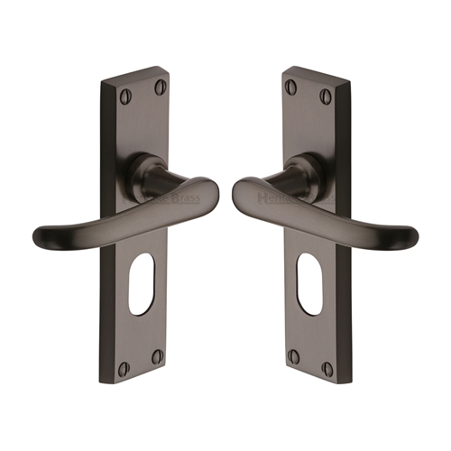 Windsor Door Handle on Plate