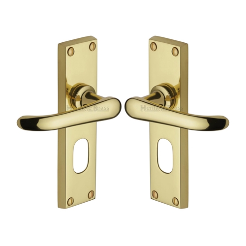 Windsor Door Handle on Plate