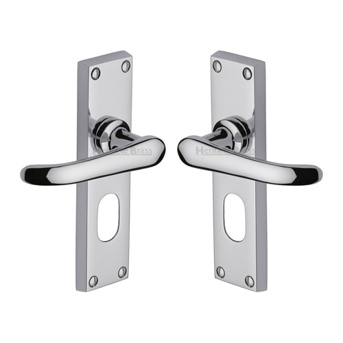 Windsor Door Handle on Plate