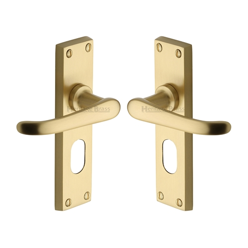 Windsor Door Handle on Plate