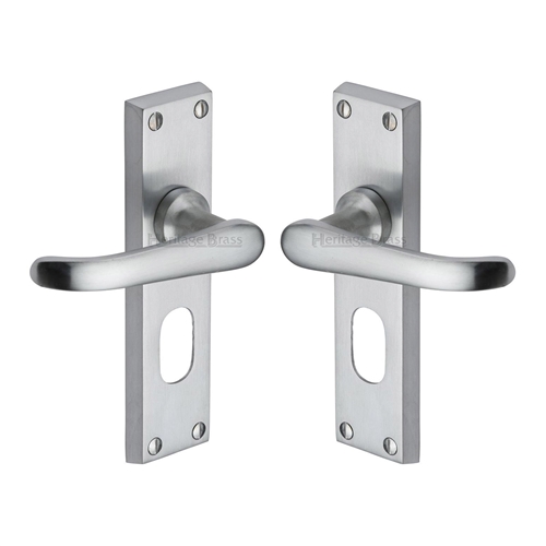 Windsor Door Handle on Plate