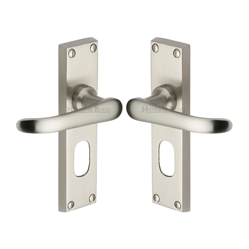 Windsor Door Handle on Plate