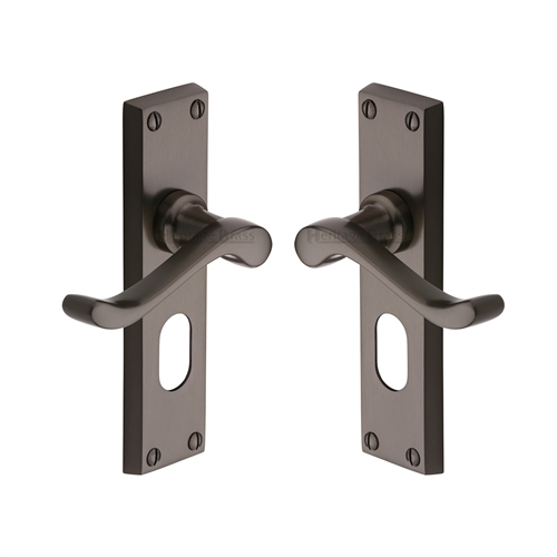 Bedford Door Handle on Plate