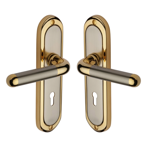 Vienna Door Handle on Plate