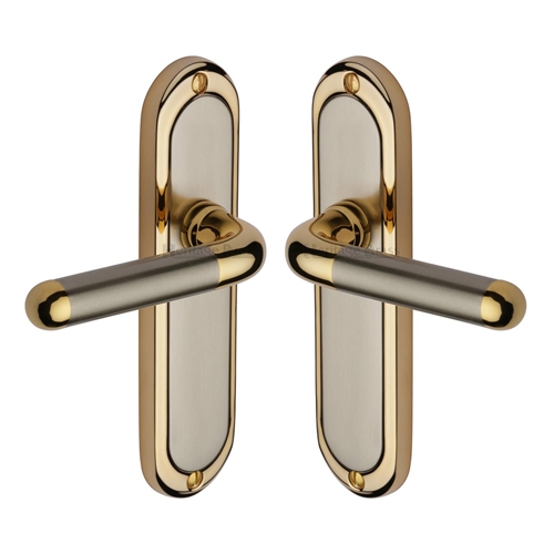 Vienna Door Handle on Plate