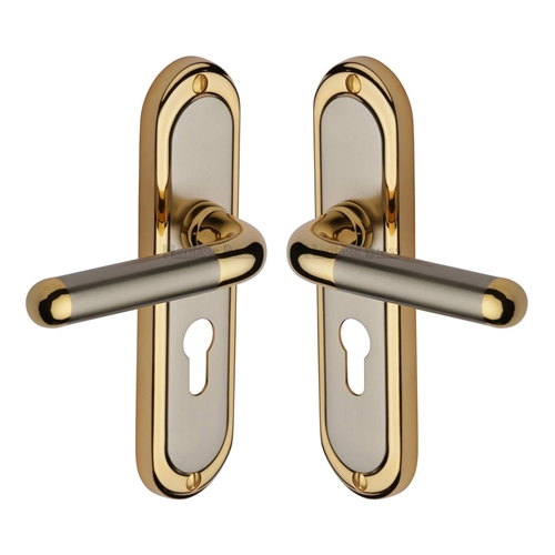 Vienna Door Handle on Plate