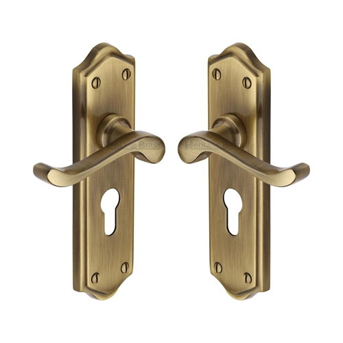 Buckingham Door Handle on Plate