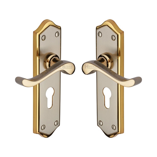 Buckingham Door Handle on Plate