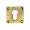 BAU1558-AT