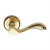 Door Handles on Round Rose