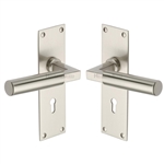Bauhaus Door Handle on Plate in Satin Nickel