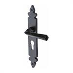 Black Iron Ironbridge Door Handle on Plate in Matt   Black