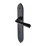 Black Iron Grafton Door Handle on Plate in Matt   Black
