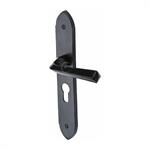 Black Iron Grafton Door Handle on Plate in Matt   Black