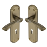 Atlanta Door Handle on Plate