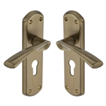 Atlanta Door Handle on Plate