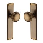 Victoria Mortice Knob on Plate in Antique Brass