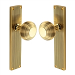 Beehive Reeded Mortice Knob on Plate  in Polished Brass