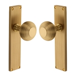 Beehive Reeded Mortice Knob on Plate  in Satin Brass