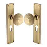 Beehive Reeded Mortice Knob on Plate  in Polished Brass