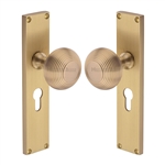 Beehive Reeded Mortice Knob on Plate  in Satin Brass